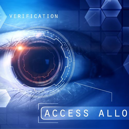 Seguridad física videovigilancia y ciberseguridad